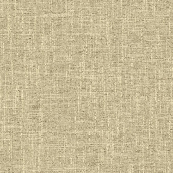 Spartan Pebble by Kasmir Fabric 5120 100% Polyester
 INDIA </p><p>Repeat: Horizontal: N/A and Vertical: N/A 53 - Fabric Carolina -