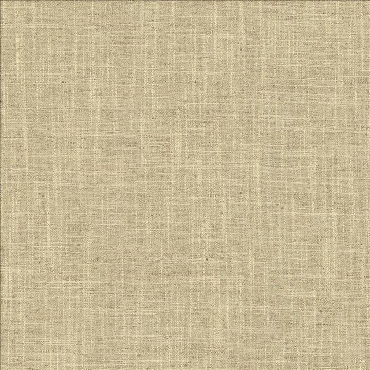 Spartan Pebble by Kasmir Fabric 5120 100% Polyester
 INDIA </p><p>Repeat: Horizontal: N/A and Vertical: N/A 54 - Fabric Carolina -