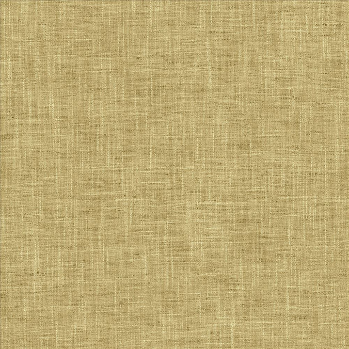 Spartan Plantain by Kasmir Fabric 5120 100% Polyester
 INDIA 30,000 Wyzenbeek Double Rubs Horizontal: N/A and Vertical: N/A 54 - Fabric Carolina -
