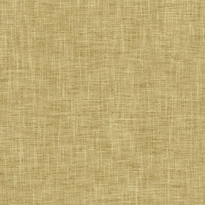 Spartan Plantain by Kasmir Fabric 5120 100% Polyester
 INDIA </p><p>Repeat: Horizontal: N/A and Vertical: N/A 53 - Fabric Carolina -