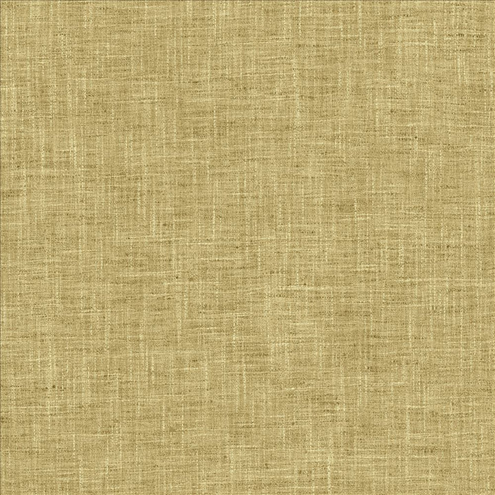 Spartan Plantain by Kasmir Fabric 5120 100% Polyester
 INDIA </p><p>Repeat: Horizontal: N/A and Vertical: N/A 54 - Fabric Carolina -