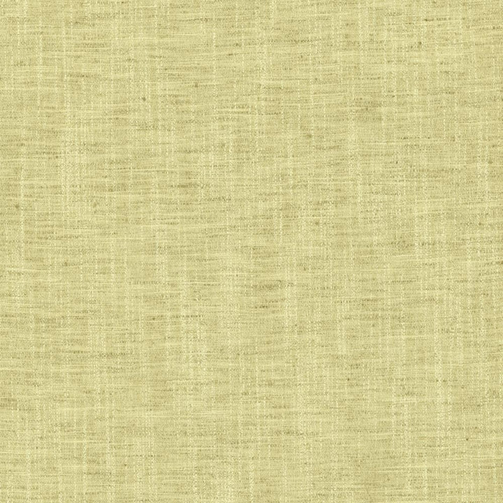 Spartan Spring by Kasmir Fabric 5120 100% Polyester
 INDIA </p><p>Repeat: Horizontal: N/A and Vertical: N/A 53 - Fabric Carolina -
