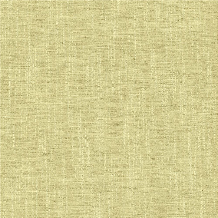 Spartan Spring by Kasmir Fabric 5120 100% Polyester
 INDIA </p><p>Repeat: Horizontal: N/A and Vertical: N/A 54 - Fabric Carolina -