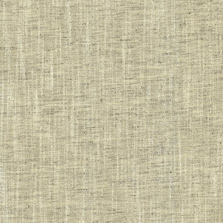 Spartan Stone by Kasmir Fabric 5120 100% Polyester
 INDIA </p><p>Repeat: Horizontal: N/A and Vertical: N/A 53 - Fabric Carolina -