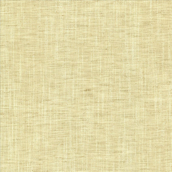 Spartan Straw by Kasmir Fabric 5120 100% Polyester
 INDIA 30,000 Wyzenbeek Double Rubs Horizontal: N/A and Vertical: N/A 54 - Fabric Carolina -