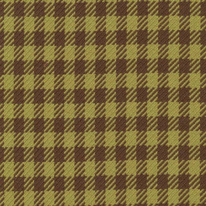 Spit Spot Check Avocado by Kasmir Fabric