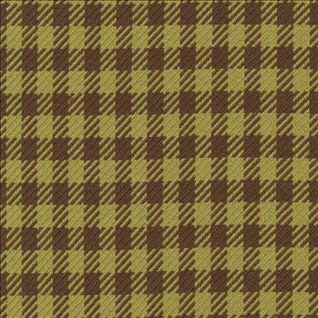 Spit Spot Check Avocado by Kasmir Fabric 1372 100% Cotton TURKEY 30,000 Wyzenbeek Double Rubs H: 4/8 inches, V: 5/8 inches 54 - Fabric Carolina - Kasmir