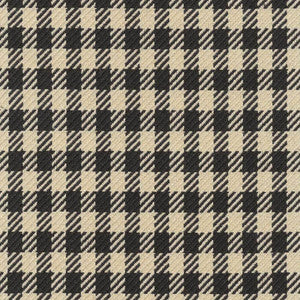 Spit Spot Check Gaslight by Kasmir Fabric