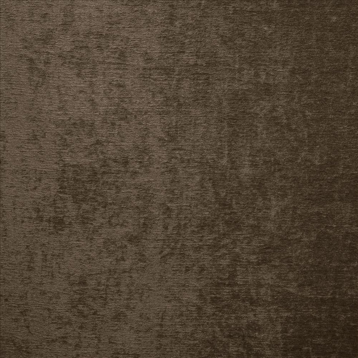 Splendid Chocolate by Kasmir Fabric 5172 100% Polyester
 INDIA 80,000 Wyzenbeek Double Rubs Horizontal: N/A and Vertical: N/A 55 - Fabric Carolina -