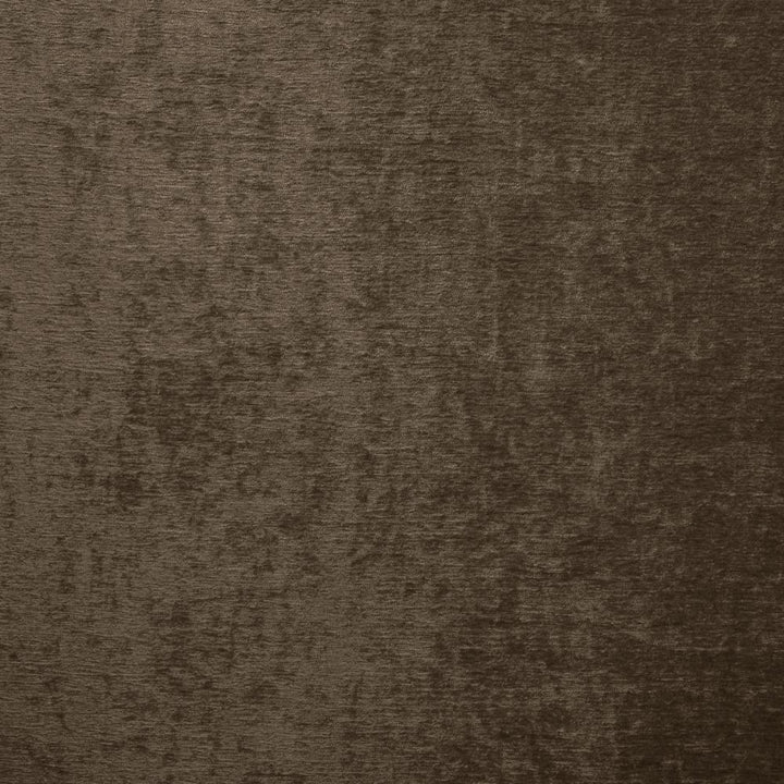 Splendid Chocolate by Kasmir Fabric 5172 100% Polyester
 INDIA </p><p>Repeat: Horizontal: N/A and Vertical: N/A 55 - Fabric Carolina -