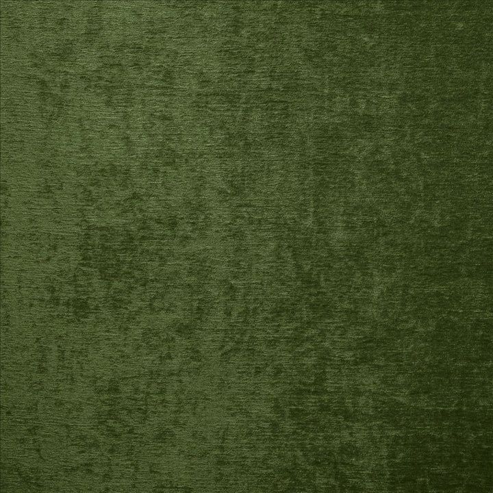 Splendid Classic Green by Kasmir Fabric 5172 100% Polyester
 INDIA 80,000 Wyzenbeek Double Rubs </p><p>Repeat: Horizontal: N/A and Vertical: N/A 55 - Fabric Carolina -