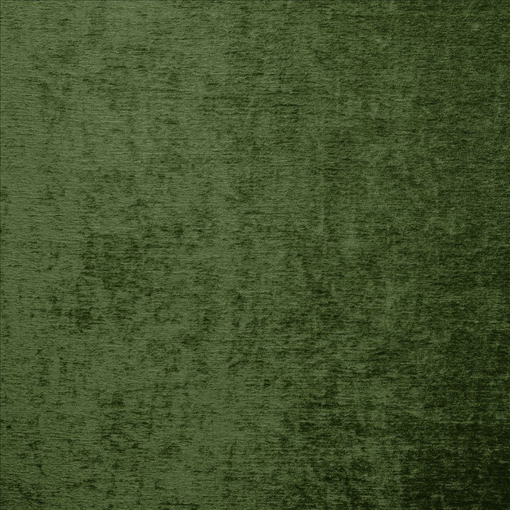 Splendid Classic Green by Kasmir Fabric 5172 100% Polyester
 INDIA </p><p>Repeat: Horizontal: N/A and Vertical: N/A 55 - Fabric Carolina -
