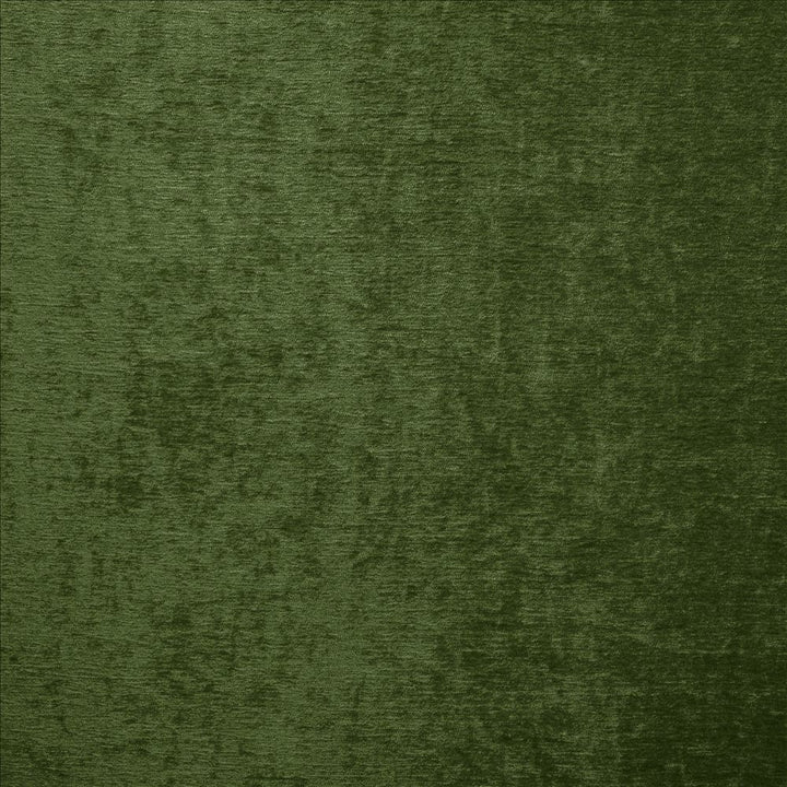 Splendid Classic Green by Kasmir Fabric 5172 100% Polyester
 INDIA 80,000 Wyzenbeek Double Rubs Horizontal: N/A and Vertical: N/A 55 - Fabric Carolina -