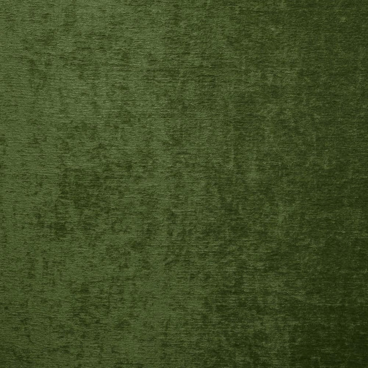 Splendid Classic Green by Kasmir Fabric 5172 100% Polyester
 INDIA </p><p>Repeat: Horizontal: N/A and Vertical: N/A 55 - Fabric Carolina -