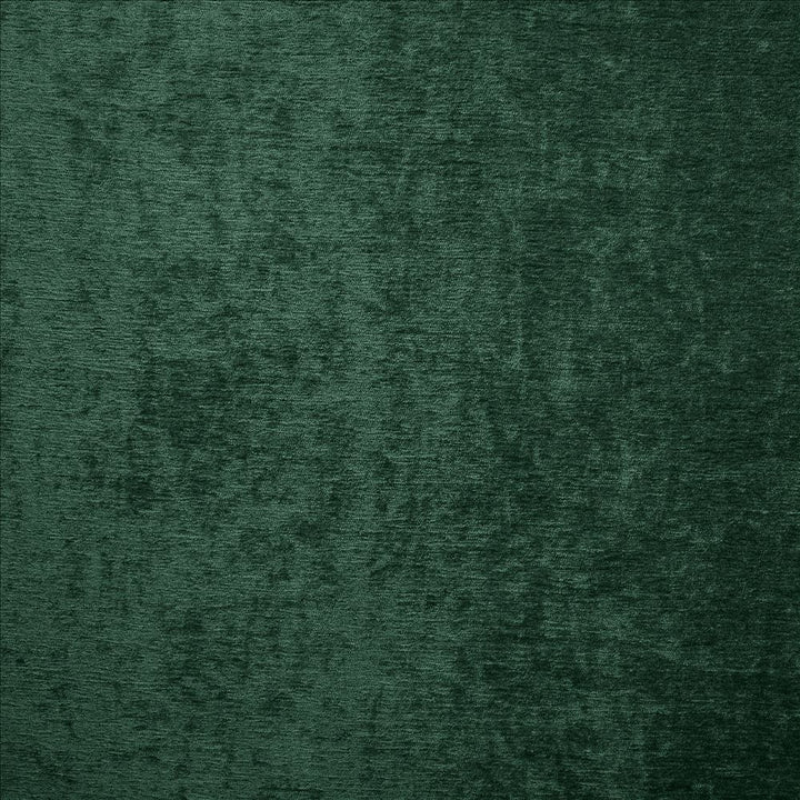 Splendid Evergreen by Kasmir Fabric 5172 100% Polyester
 INDIA </p><p>Repeat: Horizontal: N/A and Vertical: N/A 55 - Fabric Carolina -