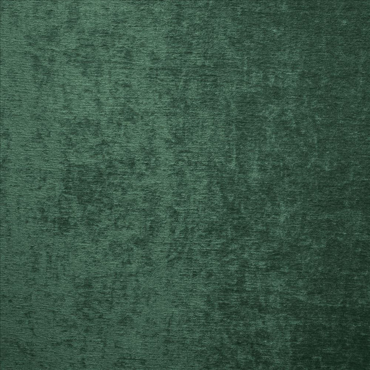 Splendid Evergreen by Kasmir Fabric 5172 100% Polyester
 INDIA 80,000 Wyzenbeek Double Rubs Horizontal: N/A and Vertical: N/A 55 - Fabric Carolina -