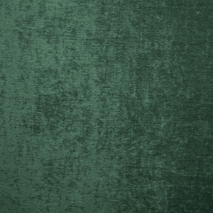 Splendid Evergreen by Kasmir Fabric 5172 100% Polyester
 INDIA </p><p>Repeat: Horizontal: N/A and Vertical: N/A 55 - Fabric Carolina -