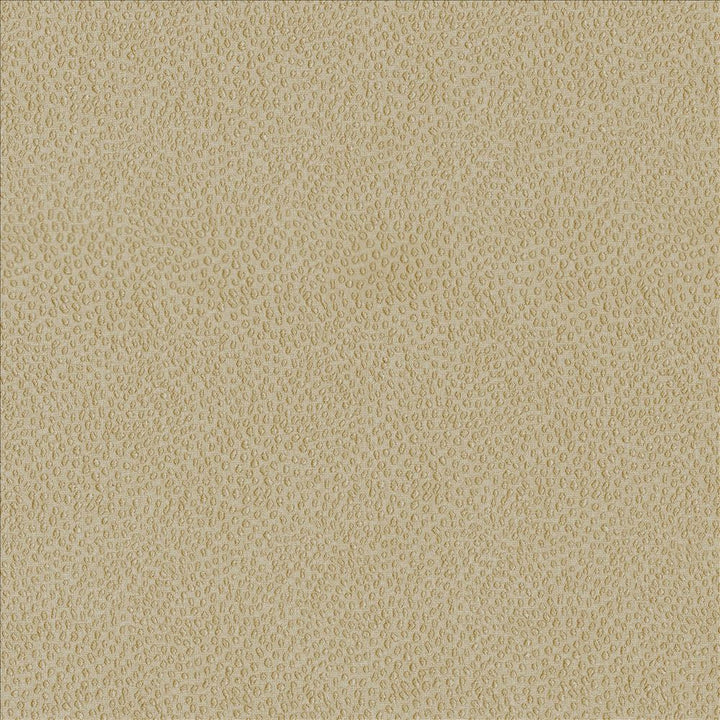 Spontaneity Cedar by Kasmir Fabric 5092 100% Polyester
 INDIA 30,000 Wyzenbeek Double Rubs Horizontal: N/A and Vertical: N/A 54 - Fabric Carolina -