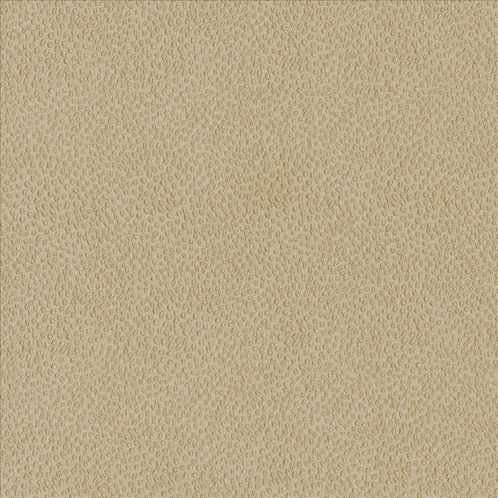 Spontaneity Cedar by Kasmir Fabric 5092 100% Polyester INDIA 30,000 Wyzenbeek Double Rubs Horizontal: 0 Inches and Vertical: 0 Inches 54 - 55 - Fabric Carolina -