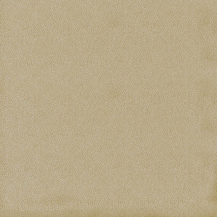 Spontaneity Cedar by Kasmir Fabric 5092 100% Polyester
 INDIA </p><p>Repeat: Horizontal: N/A and Vertical: N/A 54 - 55 - Fabric Carolina -