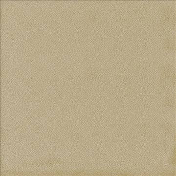 Spontaneity Cedar by Kasmir Fabric 5092 100% Polyester INDIA 30,000 Wyzenbeek Double Rubs H: N/A, V: N/A 54 - 55 - Fabric Carolina - Kasmir