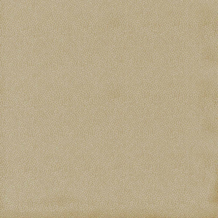 Spontaneity Cedar by Kasmir Fabric 5092 INDIA 30,000 Wyzenbeek Double Rubs H: N/A, V:N/A 54 - 55 - Fabric Carolina - Kasmir