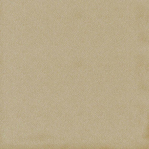 Spontaneity Cedar by Kasmir Fabric