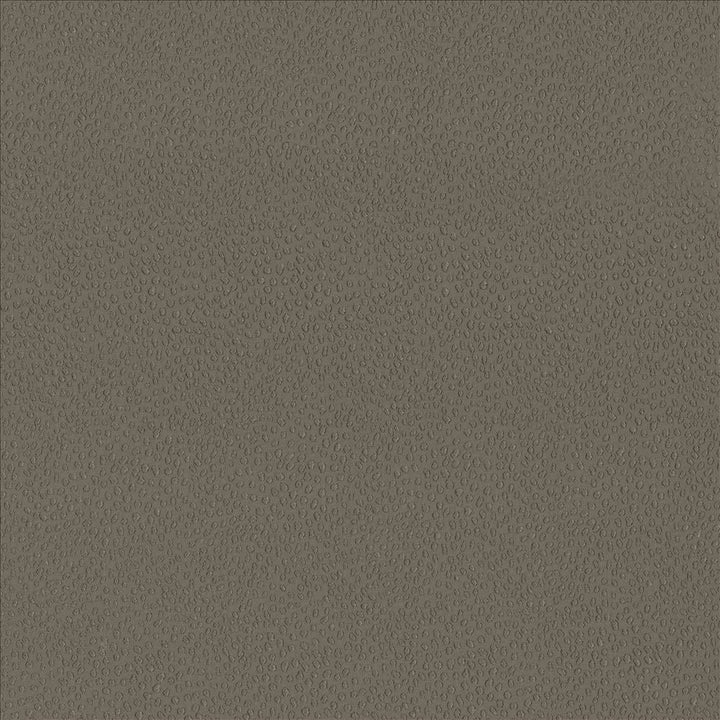 Spontaneity Cocoa by Kasmir Fabric 5092 100% Polyester
 INDIA </p><p>Repeat: Horizontal: N/A and Vertical: N/A 54 - 55 - Fabric Carolina -