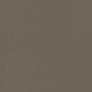 Spontaneity Cocoa by Kasmir Fabric