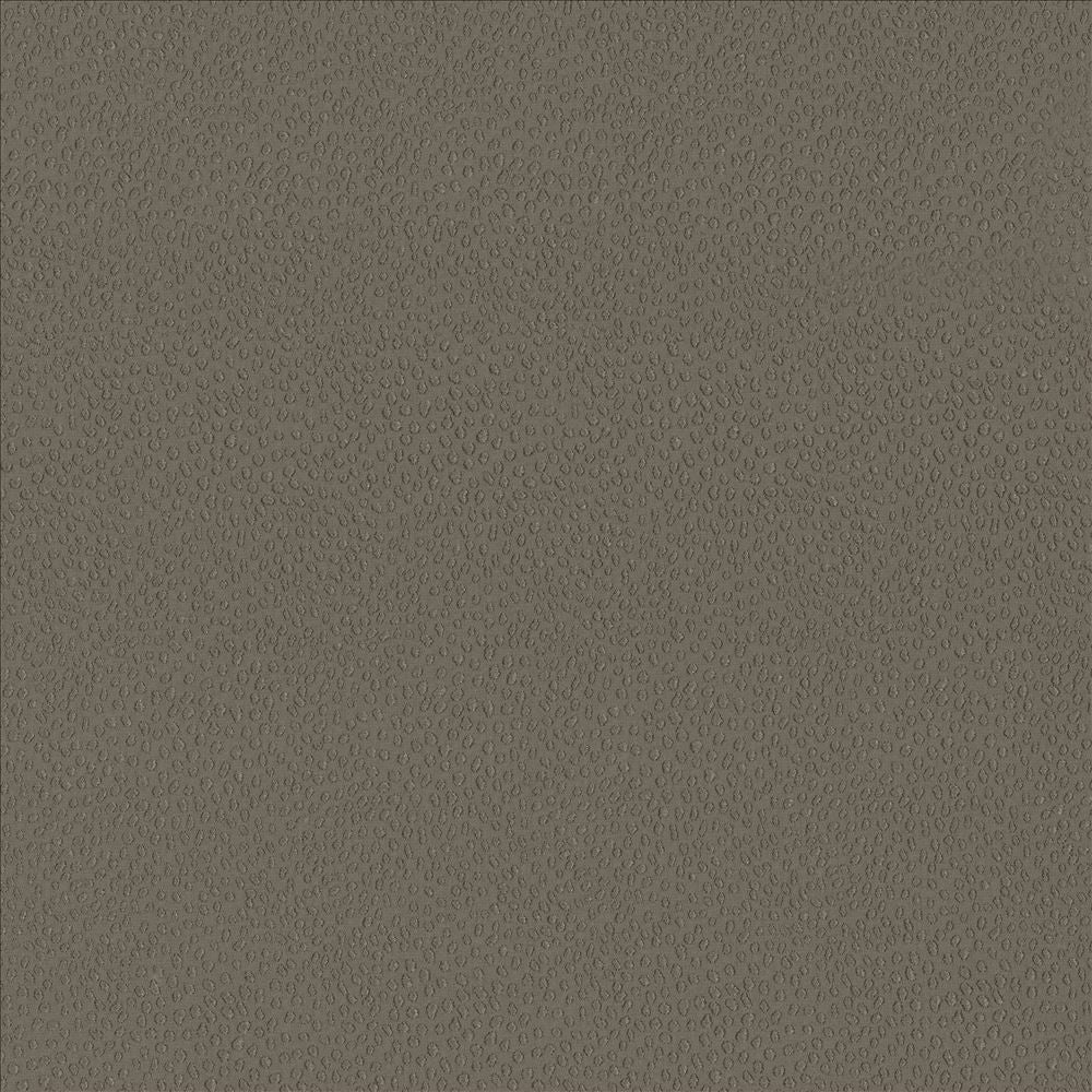 Spontaneity Cocoa by Kasmir Fabric 5092 100% Polyester
 INDIA </p><p>Repeat: Horizontal: N/A and Vertical: N/A 54 - 55 - Fabric Carolina -