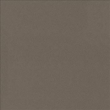 Spontaneity Cocoa by Kasmir Fabric 5092 100% Polyester INDIA 30,000 Wyzenbeek Double Rubs H: N/A, V: N/A 54 - 55 - Fabric Carolina - Kasmir