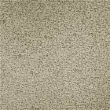 Spontaneity Platinum by Kasmir Fabric 5100 100% Polyester INDIA 30,000 Wyzenbeek Double Rubs H: N/A, V: N/A 54 - 55 - Fabric Carolina - Kasmir