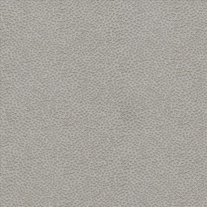 Spontaneity Platinum by Kasmir Fabric 5100 100% Polyester
 INDIA 30,000 Wyzenbeek Double Rubs Horizontal: N/A and Vertical: N/A 54 - Fabric Carolina -