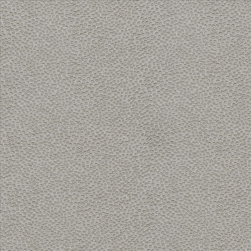 Spontaneity Platinum  by Kasmir Fabric See sample 100% Polyester
 INDIA 30,000 Wyzenbeek Double Rubs </p><p>Repeat: Horizontal: N/A and Vertical: N/A 54  - Fabric Carolina -