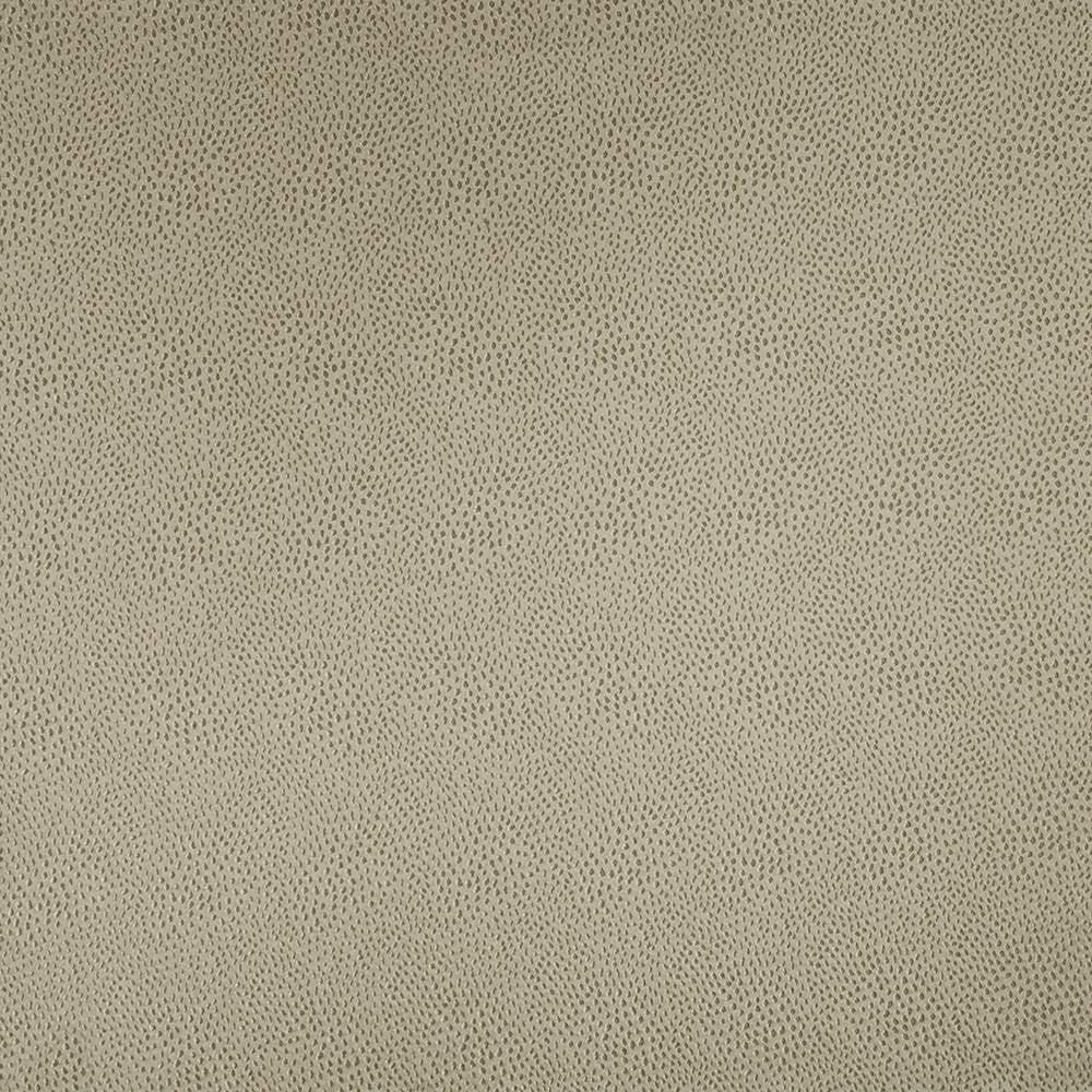 Spontaneity Platinum by Kasmir Fabric 5100 INDIA 30,000 Wyzenbeek Double Rubs H: N/A, V:N/A 54 - 55 - Fabric Carolina - Kasmir