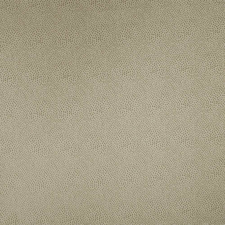 Spontaneity Platinum by Kasmir Fabric 5100 INDIA 30,000 Wyzenbeek Double Rubs H: N/A, V:N/A 54 - 55 - Fabric Carolina - Kasmir