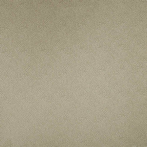 Spontaneity Platinum by Kasmir Fabric