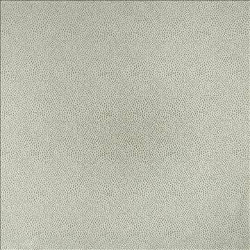 Spontaneity Silver by Kasmir Fabric 5100 100% Polyester INDIA 30,000 Wyzenbeek Double Rubs H: N/A, V: N/A 54 - 55 - Fabric Carolina - Kasmir