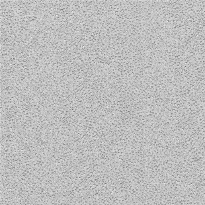 Spontaneity Silver by Kasmir Fabric 5100 100% Polyester
 INDIA 30,000 Wyzenbeek Double Rubs </p><p>Repeat: Horizontal: N/A and Vertical: N/A 54 - Fabric Carolina -