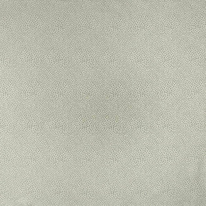 Spontaneity Silver by Kasmir Fabric