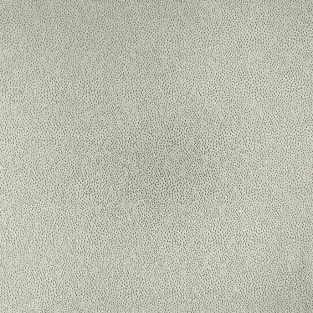 Spontaneity Silver by Kasmir Fabric 5100 100% Polyester
 INDIA </p><p>Repeat: Horizontal: N/A and Vertical: N/A 54 - 55 - Fabric Carolina -
