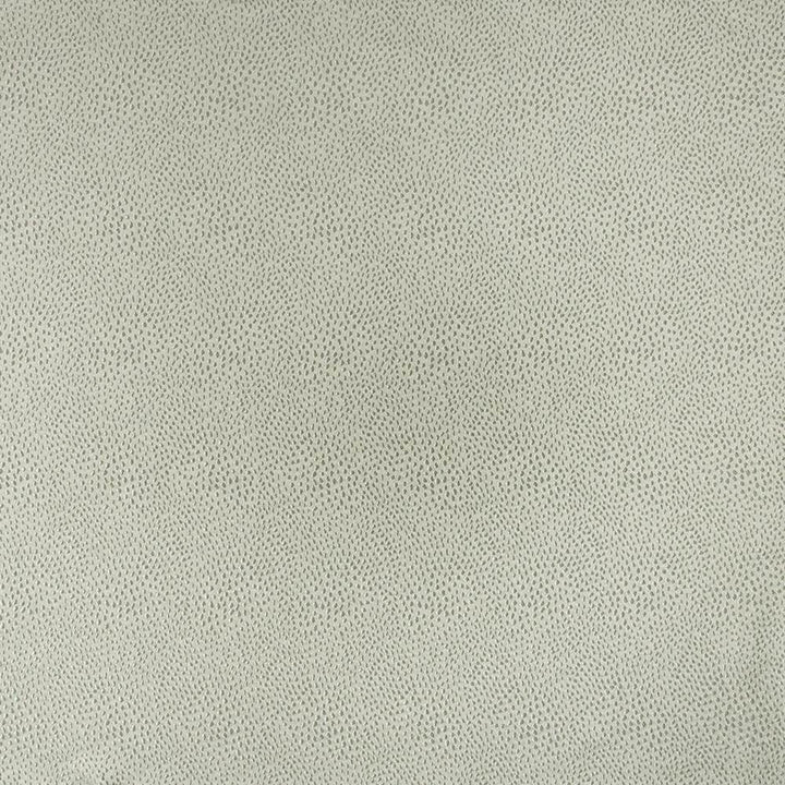 Spontaneity Silver by Kasmir Fabric 5100 100% Polyester
 INDIA </p><p>Repeat: Horizontal: N/A and Vertical: N/A 54 - 55 - Fabric Carolina -