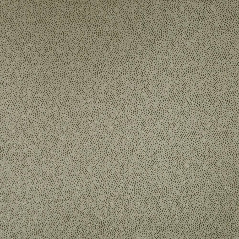 Spontaneity Taupe by Kasmir Fabric 5100 INDIA 30,000 Wyzenbeek Double Rubs H: N/A, V:N/A 54 - 55 - Fabric Carolina - Kasmir