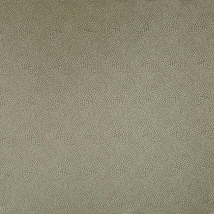 Spontaneity Taupe by Kasmir Fabric 5100 INDIA 30,000 Wyzenbeek Double Rubs H: N/A, V:N/A 54 - 55 - Fabric Carolina - Kasmir