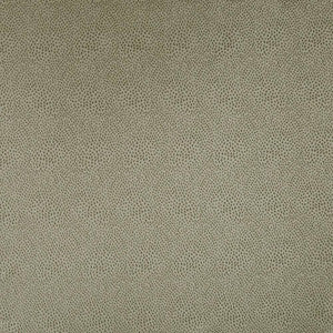 Spontaneity Taupe by Kasmir Fabric