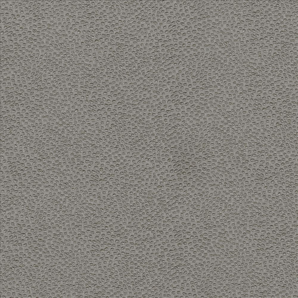 Spontaneity Taupe  by Kasmir Fabric See sample 100% Polyester
 INDIA 30,000 Wyzenbeek Double Rubs </p><p>Repeat: Horizontal: N/A and Vertical: N/A 54  - Fabric Carolina -