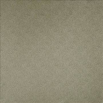Spontaneity Taupe by Kasmir Fabric 5100 100% Polyester INDIA 30,000 Wyzenbeek Double Rubs H: N/A, V: N/A 54 - 55 - Fabric Carolina - Kasmir