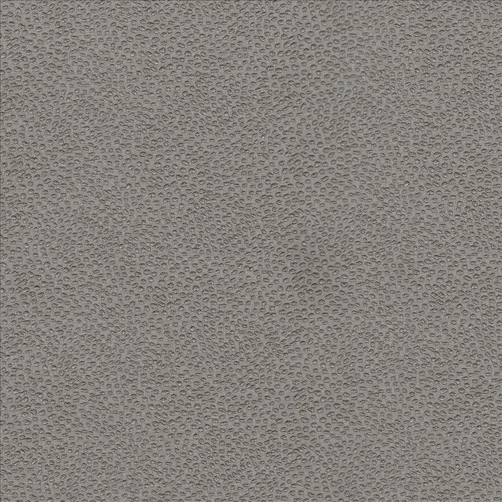 Spontaneity Taupe by Kasmir Fabric 5100 100% Polyester
 INDIA 30,000 Wyzenbeek Double Rubs </p><p>Repeat: Horizontal: N/A and Vertical: N/A 54 - Fabric Carolina -