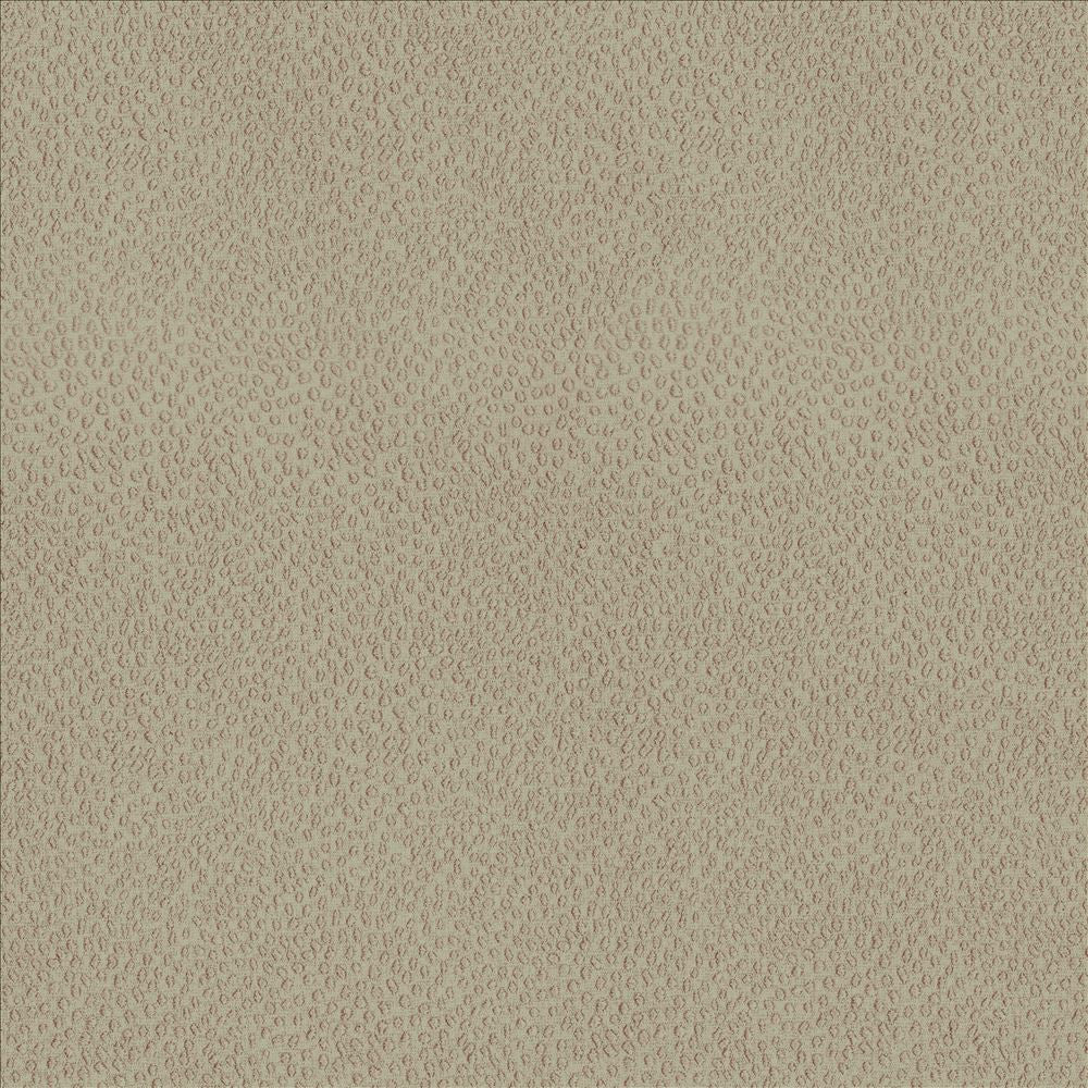 Spontaneity Wheat  by Kasmir Fabric See sample 100% Polyester
 INDIA 30,000 Wyzenbeek Double Rubs </p><p>Repeat: Horizontal: N/A and Vertical: N/A 54  - Fabric Carolina -