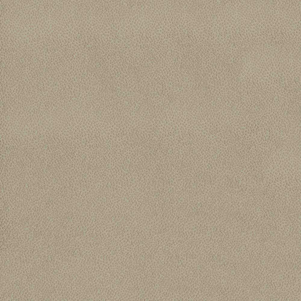 Spontaneity Wheat by Kasmir Fabric 5092 INDIA 30,000 Wyzenbeek Double Rubs H: N/A, V:N/A 54 - 55 - Fabric Carolina - Kasmir